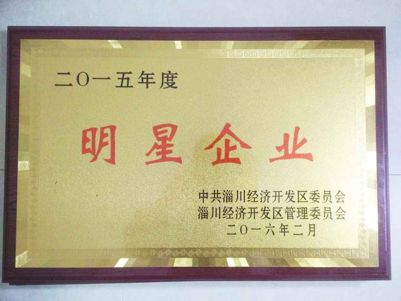 2015年度開發區明星企（qǐ）業