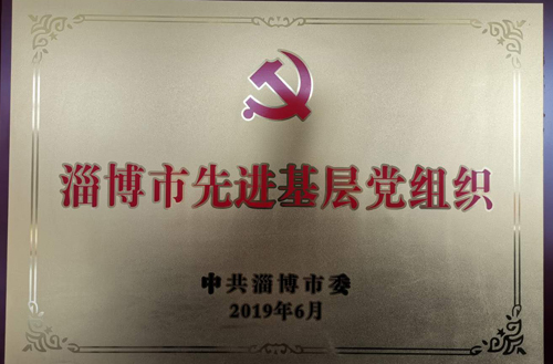 2019年（nián）淄博市（shì）先進基層黨組織