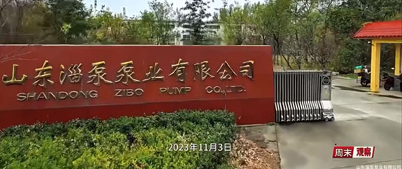 山東91视频入口泵業有限公司小（xiǎo）微企業的（de）國際化大誌向